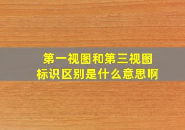 第一视图和第三视图标识区别是什么意思啊