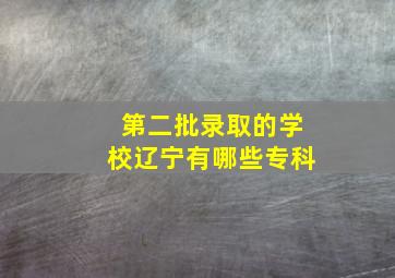 第二批录取的学校辽宁有哪些专科