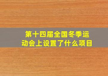 第十四届全国冬季运动会上设置了什么项目