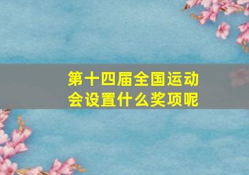 第十四届全国运动会设置什么奖项呢