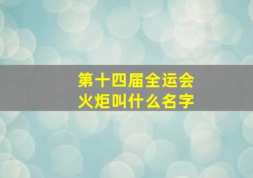 第十四届全运会火炬叫什么名字