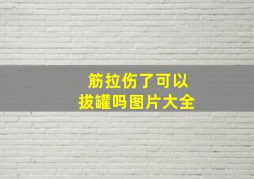 筋拉伤了可以拔罐吗图片大全