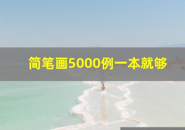 简笔画5000例一本就够