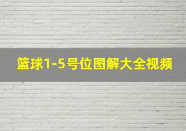 篮球1-5号位图解大全视频