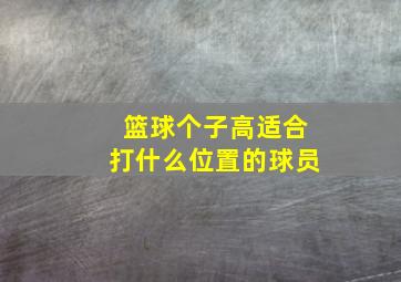 篮球个子高适合打什么位置的球员