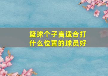 篮球个子高适合打什么位置的球员好