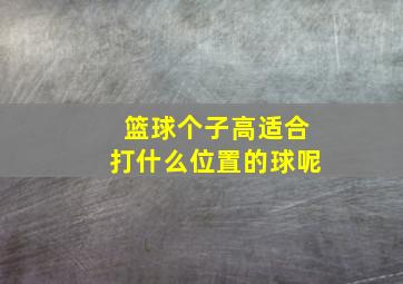 篮球个子高适合打什么位置的球呢