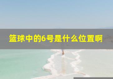 篮球中的6号是什么位置啊