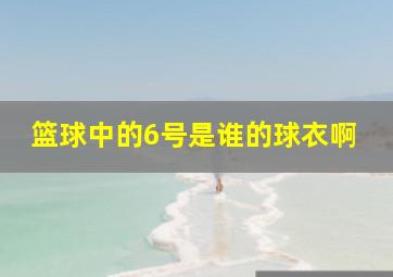 篮球中的6号是谁的球衣啊