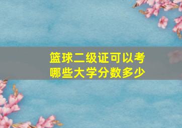 篮球二级证可以考哪些大学分数多少