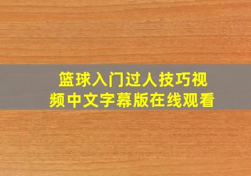 篮球入门过人技巧视频中文字幕版在线观看