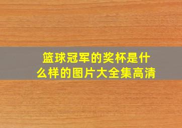 篮球冠军的奖杯是什么样的图片大全集高清