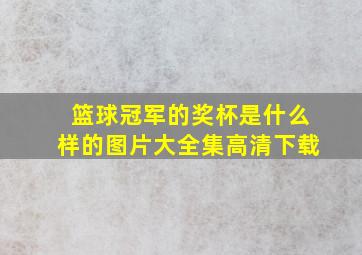 篮球冠军的奖杯是什么样的图片大全集高清下载