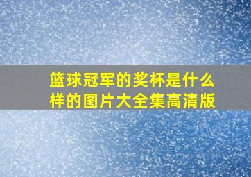 篮球冠军的奖杯是什么样的图片大全集高清版