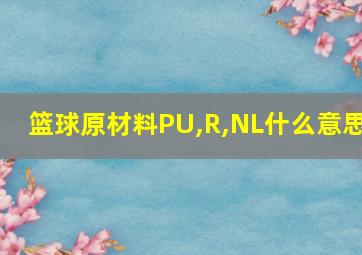 篮球原材料PU,R,NL什么意思