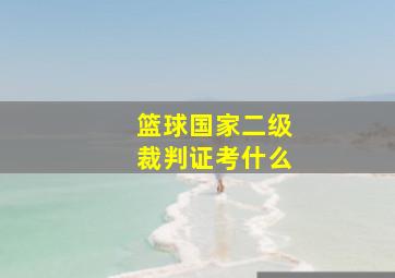 篮球国家二级裁判证考什么