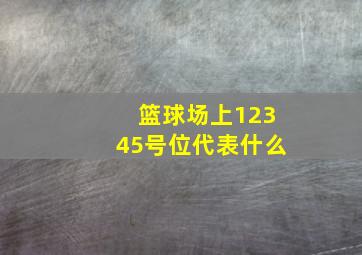 篮球场上12345号位代表什么