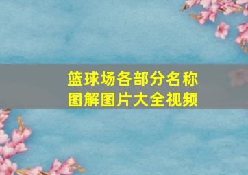 篮球场各部分名称图解图片大全视频