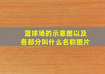 篮球场的示意图以及各部分叫什么名称图片