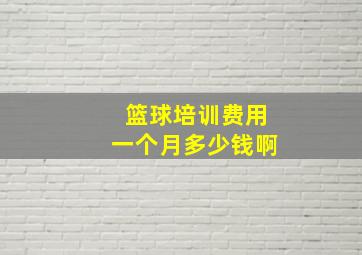 篮球培训费用一个月多少钱啊