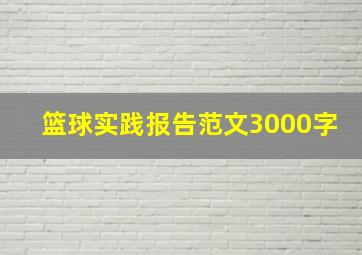 篮球实践报告范文3000字