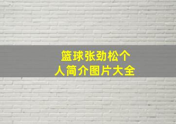 篮球张劲松个人简介图片大全