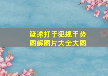 篮球打手犯规手势图解图片大全大图