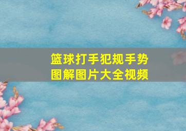 篮球打手犯规手势图解图片大全视频