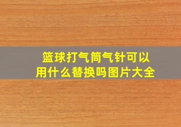 篮球打气筒气针可以用什么替换吗图片大全