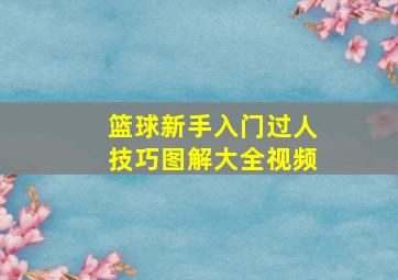 篮球新手入门过人技巧图解大全视频