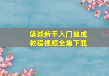 篮球新手入门速成教程视频全集下载