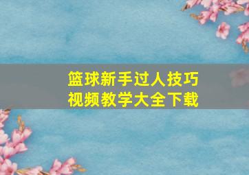 篮球新手过人技巧视频教学大全下载