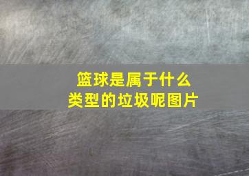 篮球是属于什么类型的垃圾呢图片