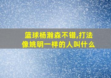 篮球杨瀚森不错,打法像姚明一样的人叫什么