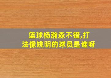 篮球杨瀚森不错,打法像姚明的球员是谁呀