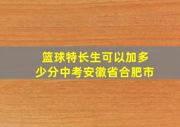 篮球特长生可以加多少分中考安徽省合肥市