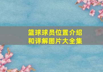 篮球球员位置介绍和详解图片大全集