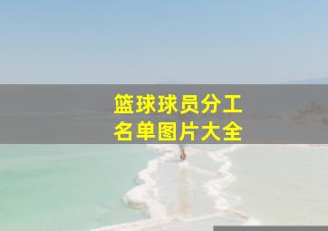 篮球球员分工名单图片大全