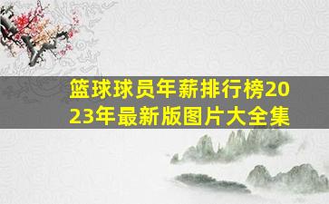 篮球球员年薪排行榜2023年最新版图片大全集