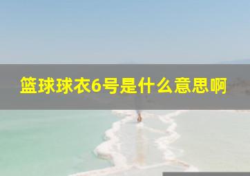 篮球球衣6号是什么意思啊