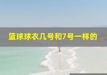 篮球球衣几号和7号一样的