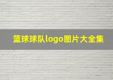 篮球球队logo图片大全集