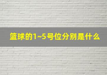 篮球的1~5号位分别是什么