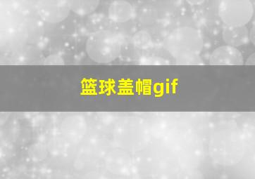 篮球盖帽gif