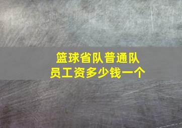 篮球省队普通队员工资多少钱一个