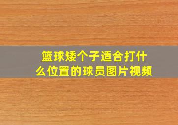 篮球矮个子适合打什么位置的球员图片视频