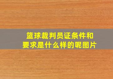 篮球裁判员证条件和要求是什么样的呢图片