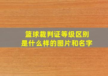 篮球裁判证等级区别是什么样的图片和名字