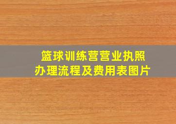 篮球训练营营业执照办理流程及费用表图片