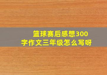 篮球赛后感想300字作文三年级怎么写呀